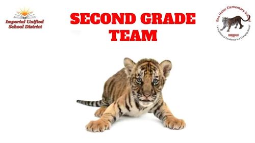 Second Grade Tiger